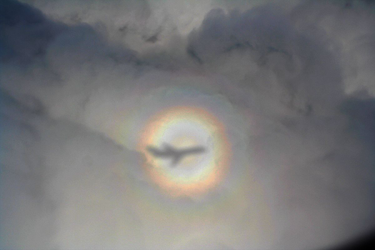 OpenGraph image for en.m.wikipedia.org/wiki/Glory_(optical_phenomenon)
