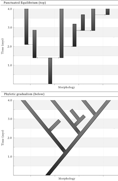 OpenGraph image for en.m.wikipedia.org/wiki/Punctuated_equilibrium