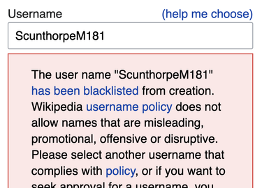 OpenGraph image for en.m.wikipedia.org/wiki/Scunthorpe_problem