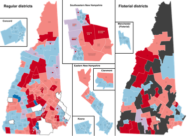 OpenGraph image for en.wikipedia.org/wiki/2020_New_Hampshire_House_of_Representatives_election