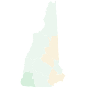 OpenGraph image for en.wikipedia.org/wiki/File:New_Hampshire_Democratic_presidential_primary_election_results_by_county,_2020.svg