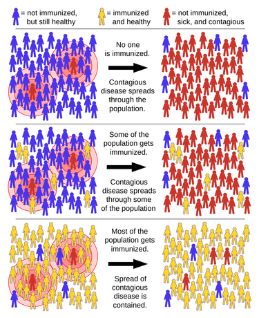 OpenGraph image for en.wikipedia.org/wiki/Herd_immunity