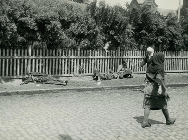 OpenGraph image for en.wikipedia.org/wiki/Holodomor