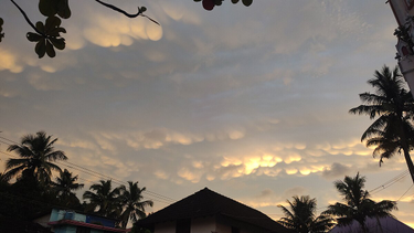 OpenGraph image for en.wikipedia.org/wiki/Mammatus_cloud