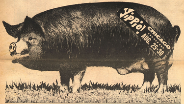 OpenGraph image for en.wikipedia.org/wiki/Pigasus_(politics)