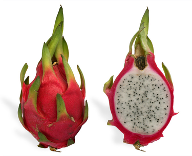 OpenGraph image for en.wikipedia.org/wiki/Pitaya