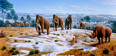 OpenGraph image for en.wikipedia.org/wiki/Pleistocene_Park