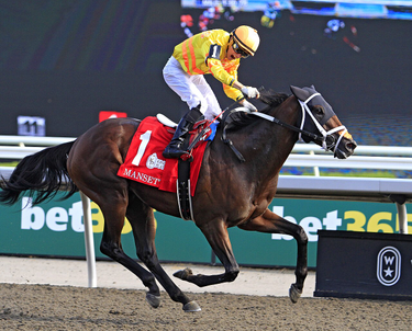 OpenGraph image for en.wikipedia.org/wiki/Queen%27s_Plate