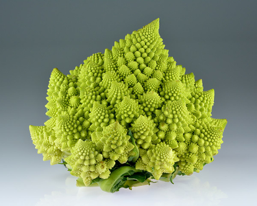 OpenGraph image for en.wikipedia.org/wiki/Romanesco_broccoli