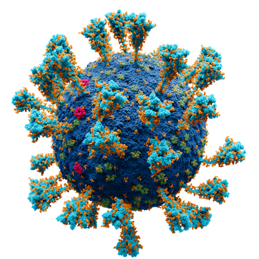 OpenGraph image for en.wikipedia.org/wiki/Timeline_of_the_2019–20_Wuhan_coronavirus_outbreak