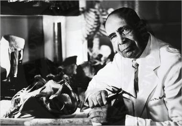 OpenGraph image for en.wikipedia.org/wiki/William_Montague_Cobb