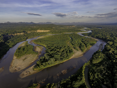 OpenGraph image for es.mongabay.com/2022/04/bolivia-21-areas-protegidas-amazonicas-se-superponen-con-lotes-petroleros/