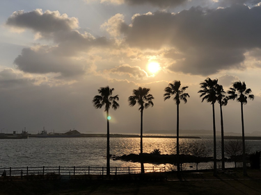 OpenGraph image for flic.kr/p/2idHHNB