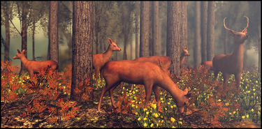 OpenGraph image for flic.kr/p/2jTYCQA