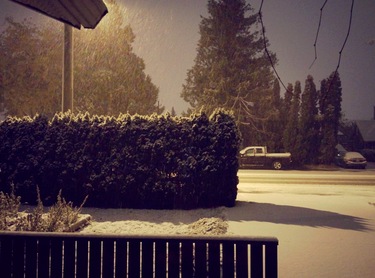 OpenGraph image for flic.kr/p/CZoGwf