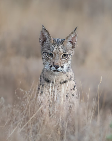 OpenGraph image for flic.kr/p/EqZSiq