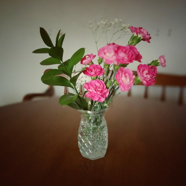 OpenGraph image for flic.kr/p/JZUPBy