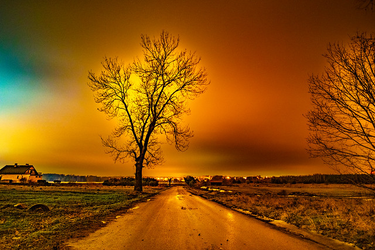 OpenGraph image for flic.kr/p/MVaxuZ