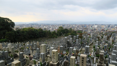 OpenGraph image for flic.kr/p/QiaLj7