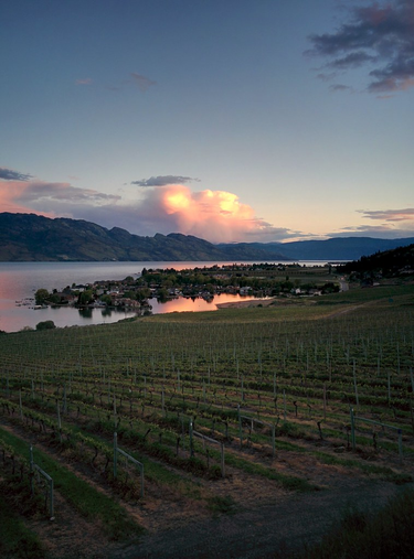 OpenGraph image for flic.kr/p/UVoGqU