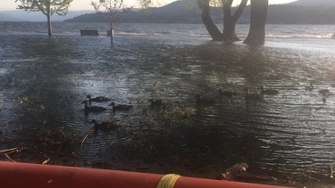 OpenGraph image for flic.kr/p/Uw6Kk5