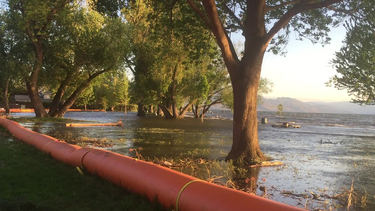 OpenGraph image for flic.kr/p/VdooEQ