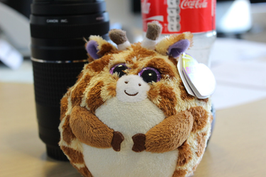 OpenGraph image for flic.kr/p/mUCe19