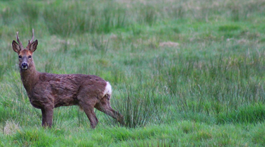 OpenGraph image for flic.kr/p/n1a5rp