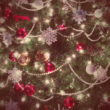 OpenGraph image for flic.kr/p/qfqXiE