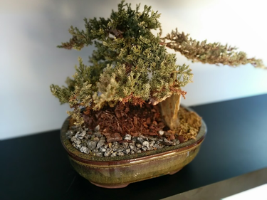 OpenGraph image for flic.kr/p/se8KuF