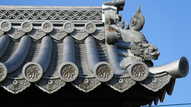 OpenGraph image for flic.kr/s/aHskJXrdtP