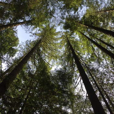 OpenGraph image for flic.kr/s/aHsmvHxXCh