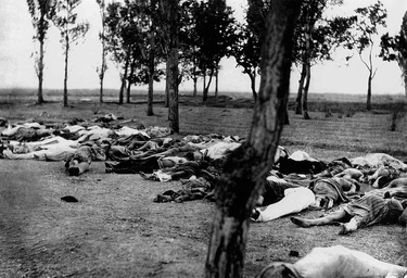 OpenGraph image for fr.m.wikipedia.org/wiki/Génocide_arménien