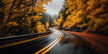 OpenGraph image for fr.osc.ac/ecosceptique/ai-je-abandonne-leconomiste-sceptique/