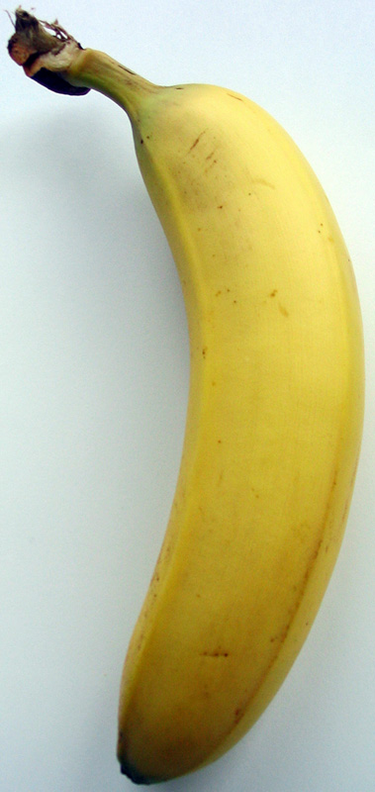 OpenGraph image for fr.wikipedia.org/wiki/Dose_%C3%A9quivalente_en_banane