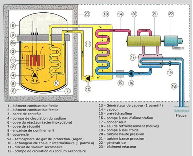 OpenGraph image for fr.wikipedia.org/wiki/Ph%C3%A9nix_(r%C3%A9acteur)