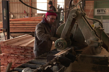 OpenGraph image for france3-regions.francetvinfo.fr/pays-de-la-loire/mayenne/laval/villaines-la-juhel-en-mayenne-face-aux-prix-eleve-de-l-electricite-une-scierie-tourne-avec-son-propre-groupe-electrogene-2417323.html