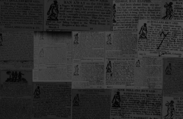 OpenGraph image for freedomonthemove.org