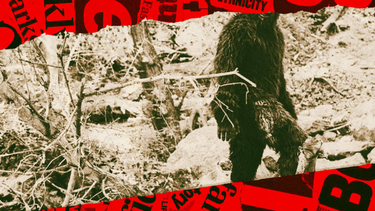 OpenGraph image for futurism.com/msn-is-publishing-more-fake-news