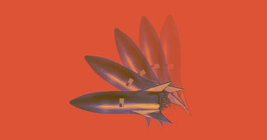 OpenGraph image for futurism.com/the-byte/starship-spacex-damaged-hurricane-winds