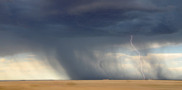 OpenGraph image for getpocket.com/explore/item/why-you-can-smell-rain