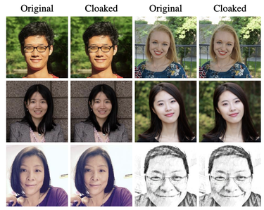 OpenGraph image for github.com/Shawn-Shan/fawkes