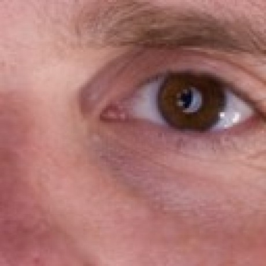 OpenGraph image for github.com/cwilso?tab=repositories