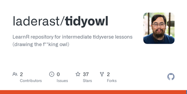 OpenGraph image for github.com/laderast/tidyowl