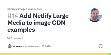 OpenGraph image for github.com/nhoizey/images-responsiver/issues/14