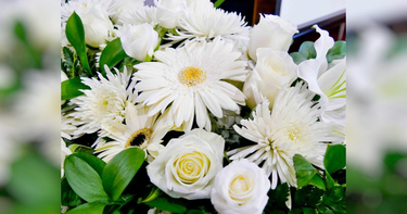 OpenGraph image for givealittle.co.nz/cause/christchurch-shooting-victims-fund