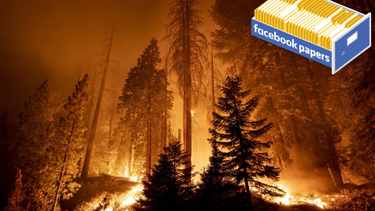 OpenGraph image for gizmodo.com/facebook-papers-meta-climate-change-denial-1848956720
