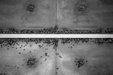 OpenGraph image for grist.org/regulation/arizona-groundwater-cochise-county-riverview/