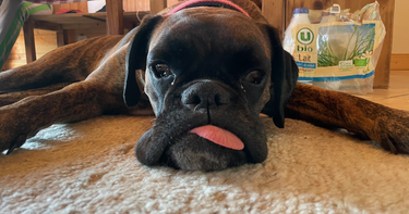 OpenGraph image for h4.io/