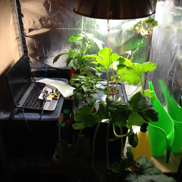 OpenGraph image for hackaday.io/project/3093-Hydroponic-Garden